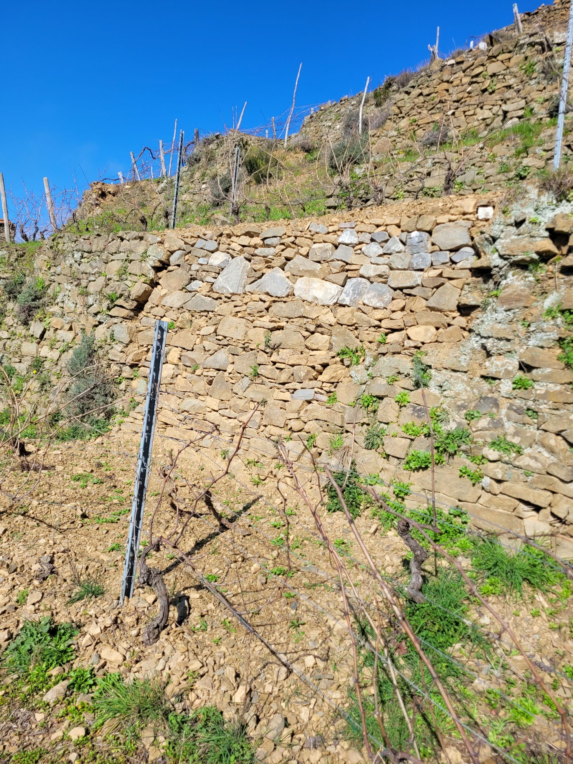 Terreno Agricolo Riomaggiore 