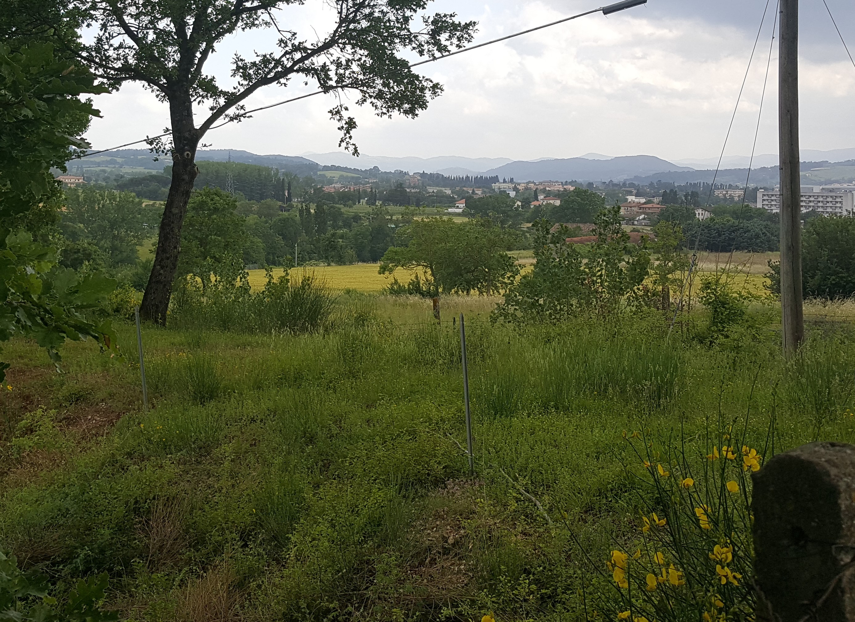 Affitto Terreno edificabile Città di Castello