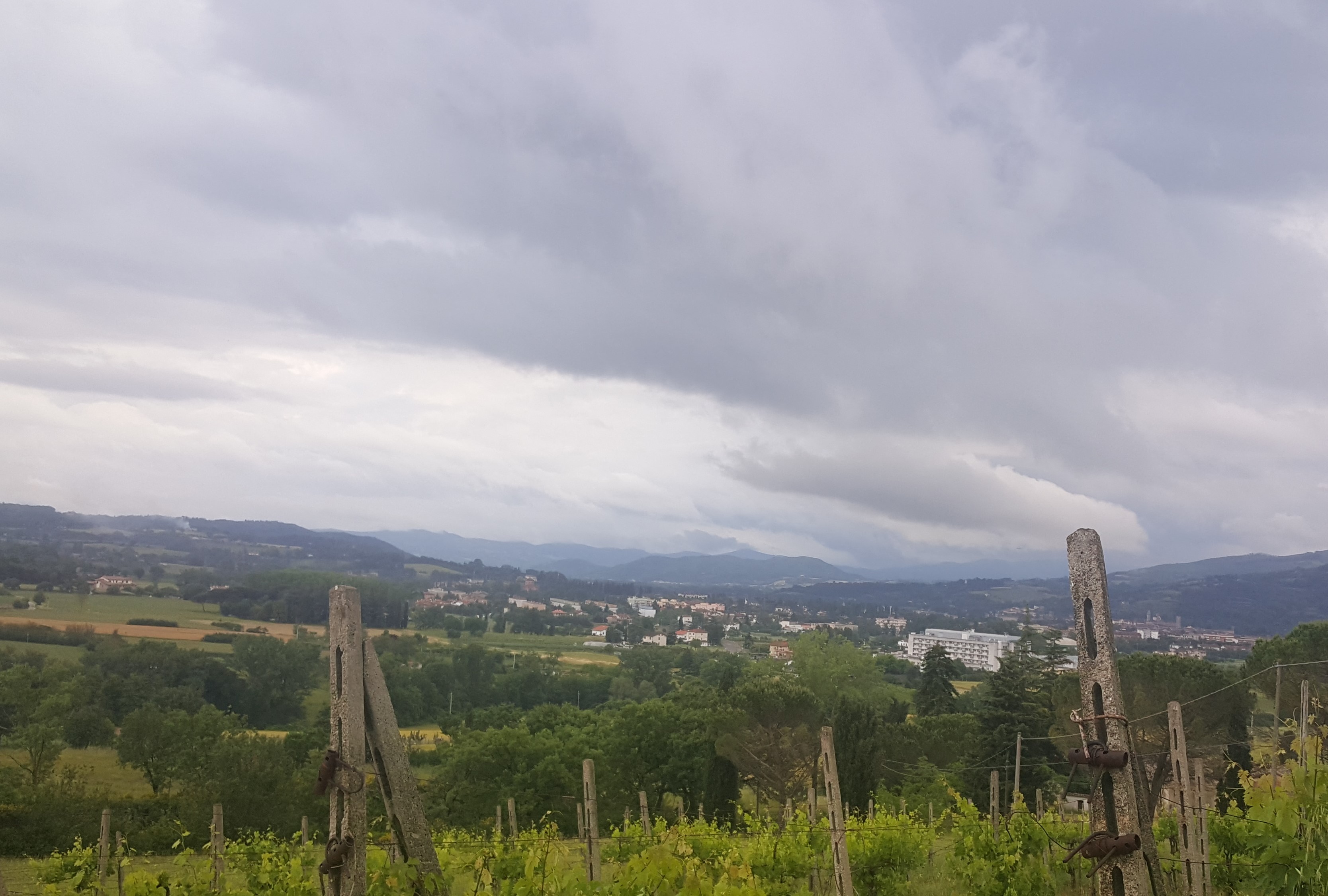 Terreno edificabile in Affitto Città di Castello