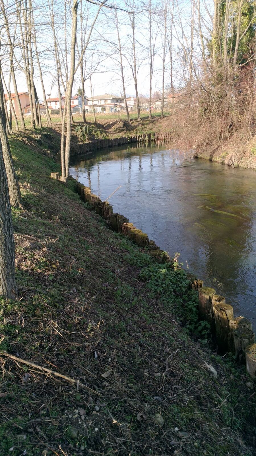 Terreno Agricolo Sesto al Reghena 