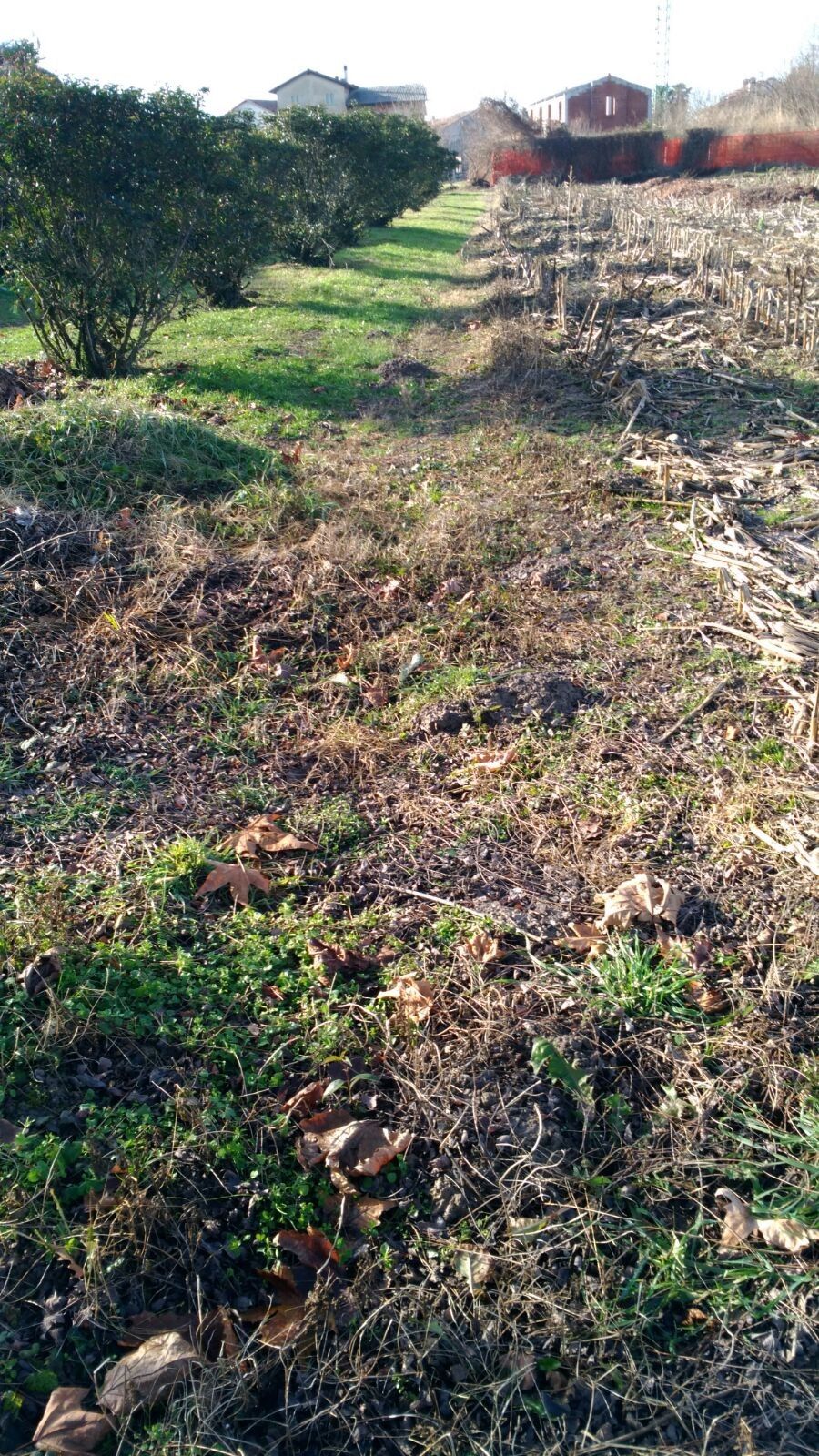 Vendita Terreno Agricolo Sesto al Reghena