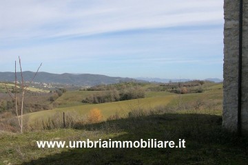 Villa singola Todi 