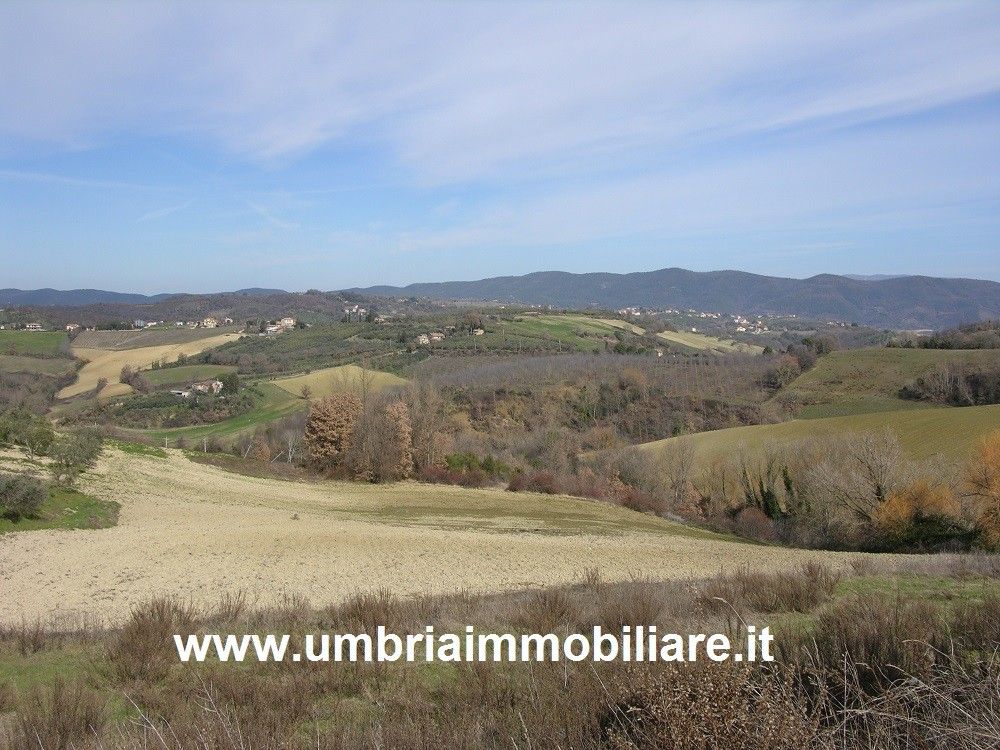 Vendita Villa singola Todi