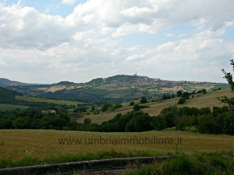 Magazzino in Vendita Todi