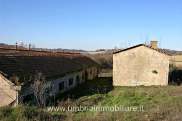 Rustico/Casale/Corte Todi 