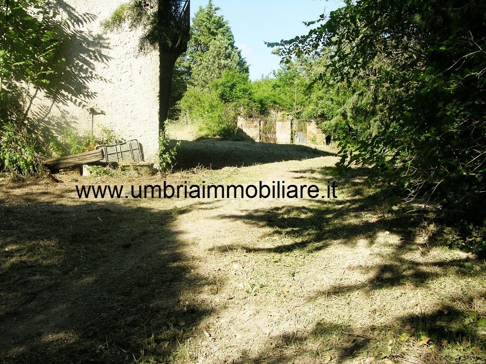 Vendita Rustico/Casale/Corte Avigliano Umbro