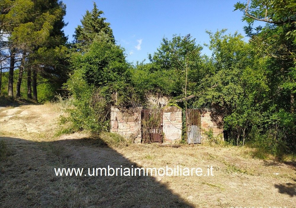 Vendita Rustico/Casale/Corte Avigliano Umbro