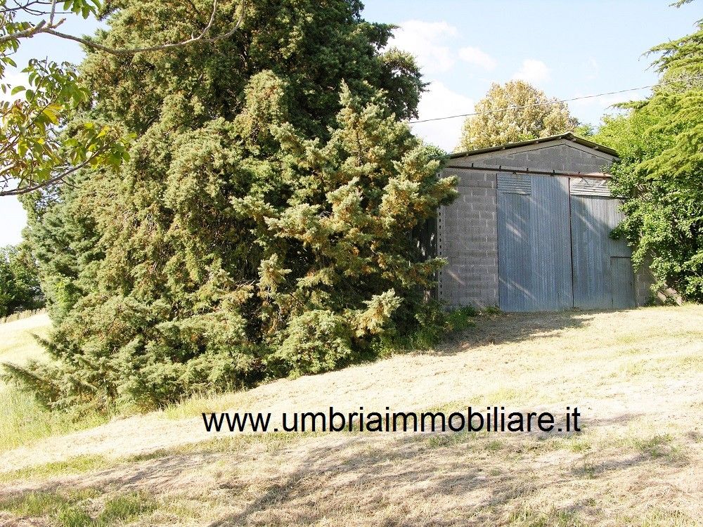 Vendita Rustico/Casale/Corte Avigliano Umbro