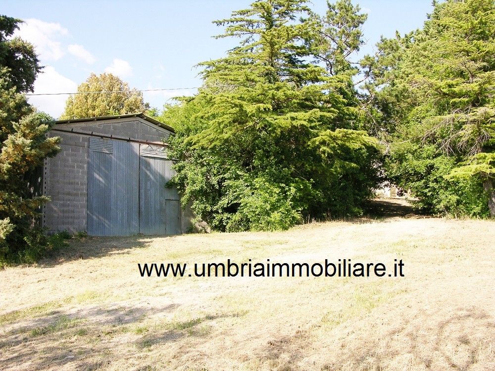 Vendita Rustico/Casale/Corte Avigliano Umbro
