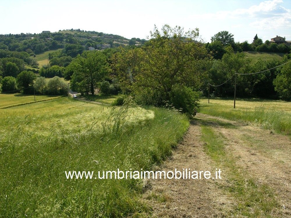 Vendita Rustico/Casale/Corte Avigliano Umbro