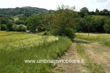 Rustico/Casale/Corte Avigliano Umbro 