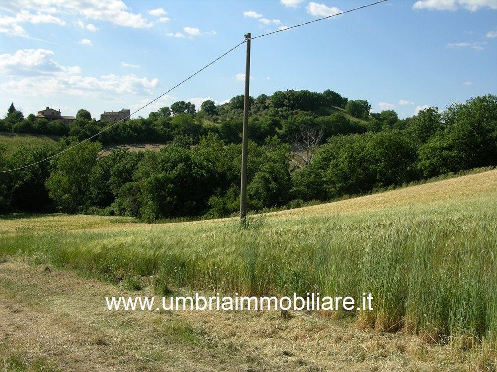 Vendita Rustico/Casale/Corte Avigliano Umbro