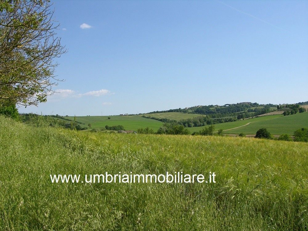 Vendita Rustico/Casale/Corte Avigliano Umbro