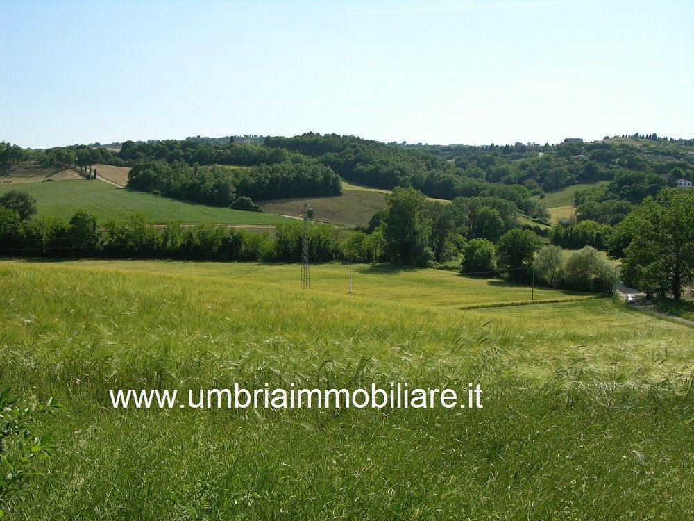 Vendita Rustico/Casale/Corte Avigliano Umbro