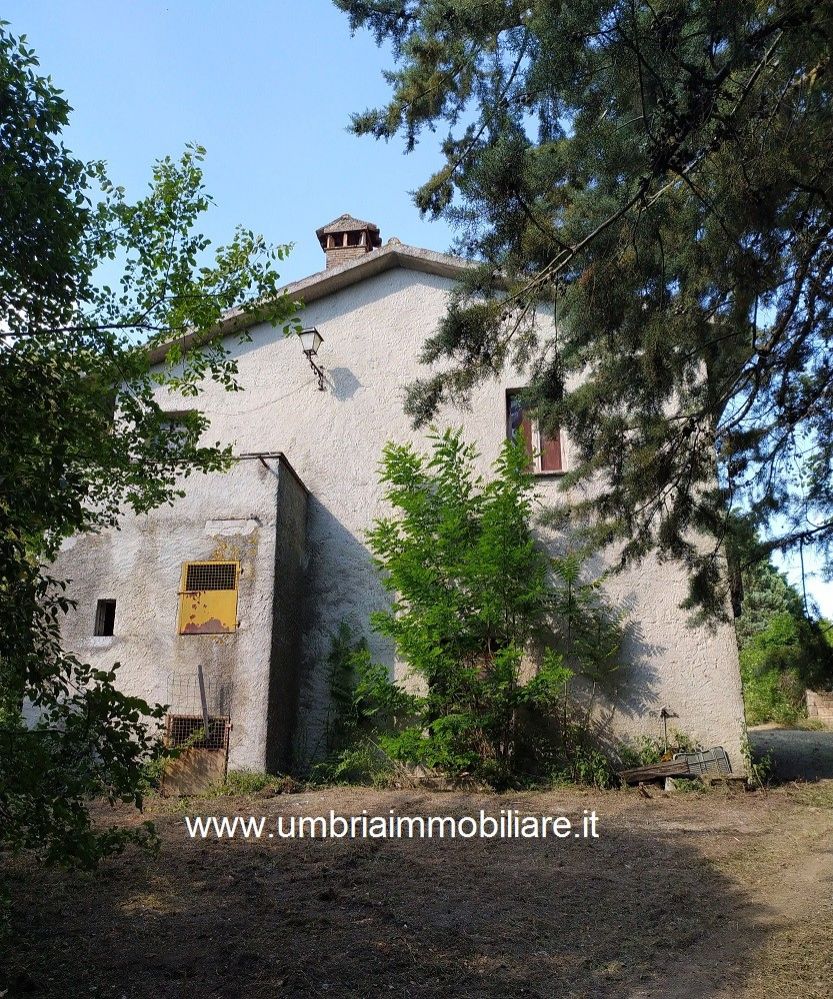 Vendita Rustico/Casale/Corte Avigliano Umbro