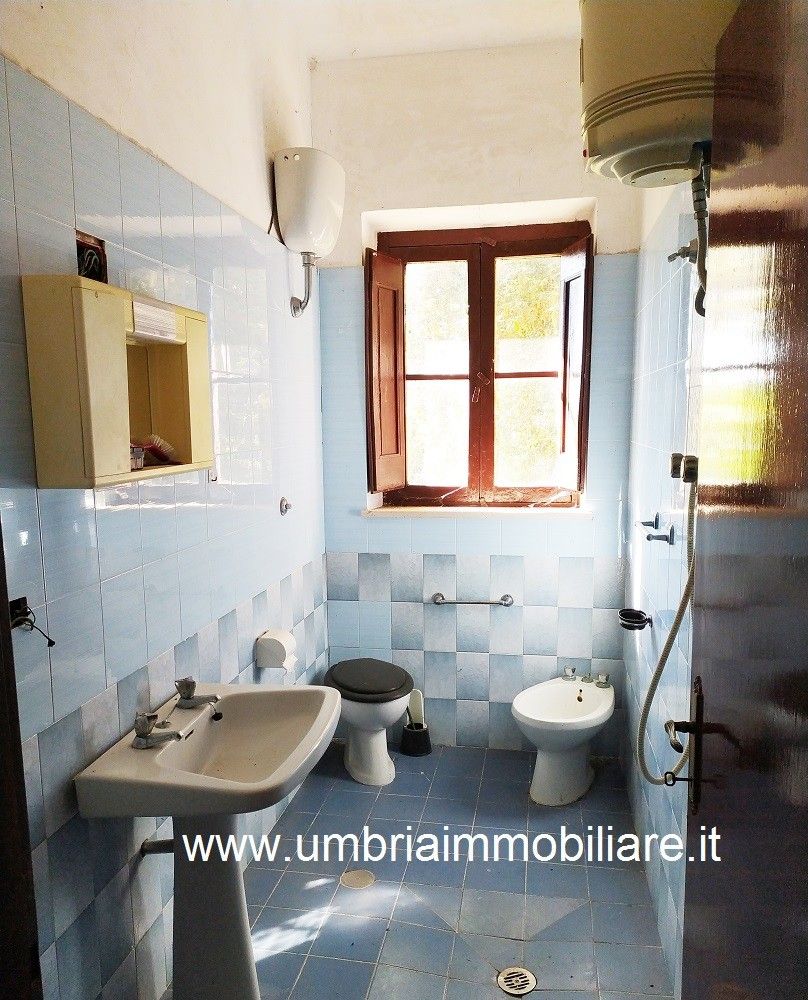 Vendita Rustico/Casale/Corte Avigliano Umbro