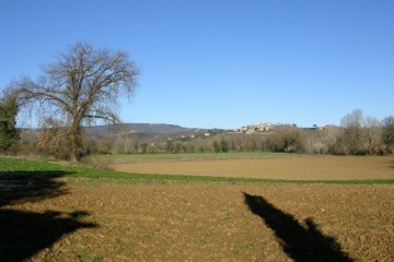 Rustico/Casale/Corte Marsciano 