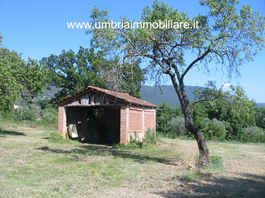 Vendita Rustico/Casale/Corte Massa Martana