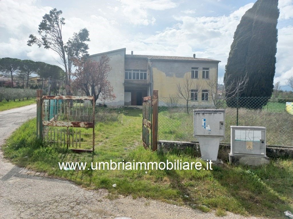 Vendita Casa Indipendente Cannara