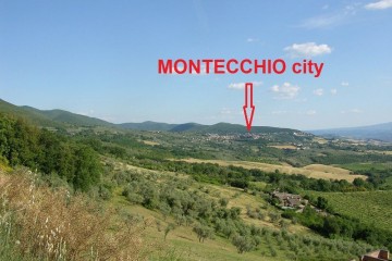 Rustico/Casale/Corte Montecchio 