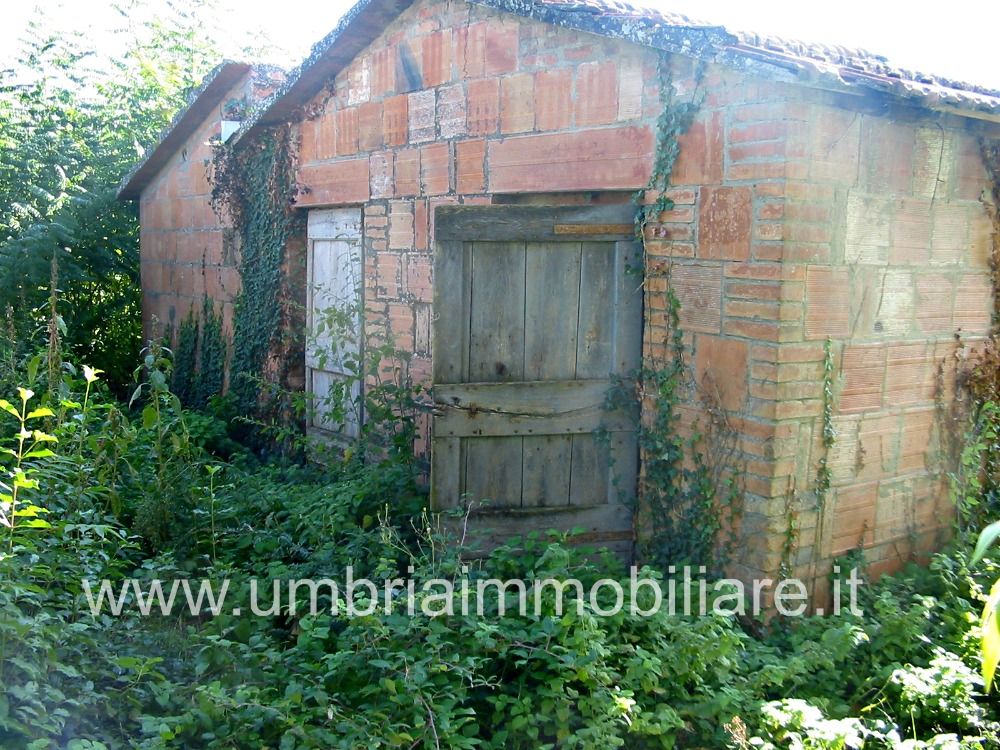 Vendita Rustico/Casale/Corte Monte Castello di Vibio