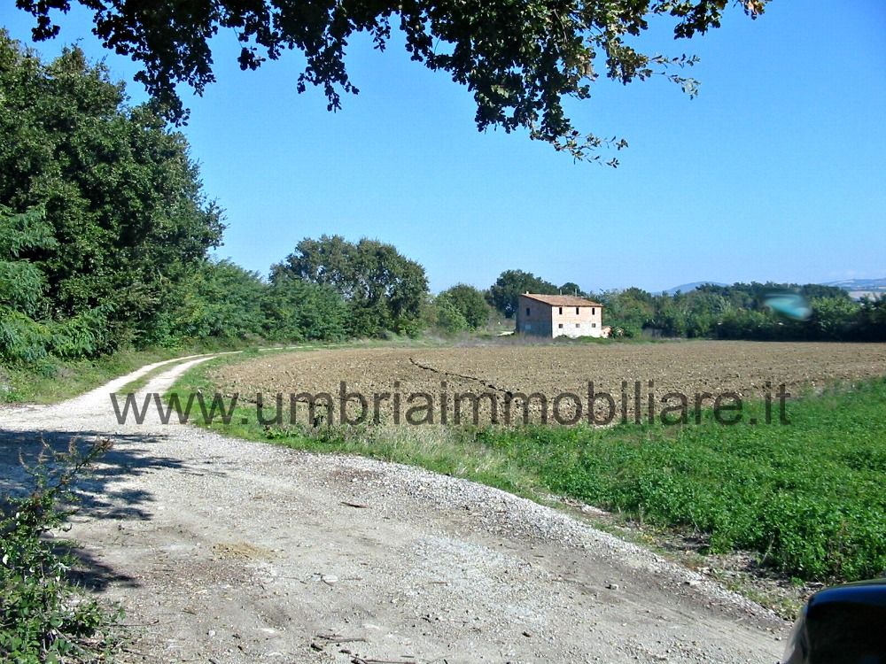 Vendita Rustico/Casale/Corte Monte Castello di Vibio