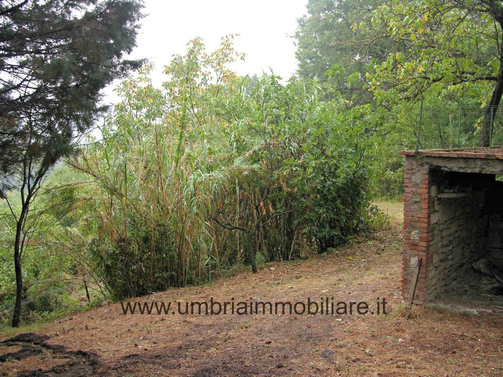 Vendita Rustico/Casale/Corte Monte Castello di Vibio