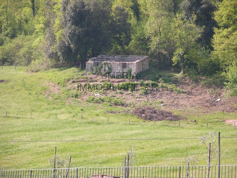 Terreno edificabile in Vendita Amelia