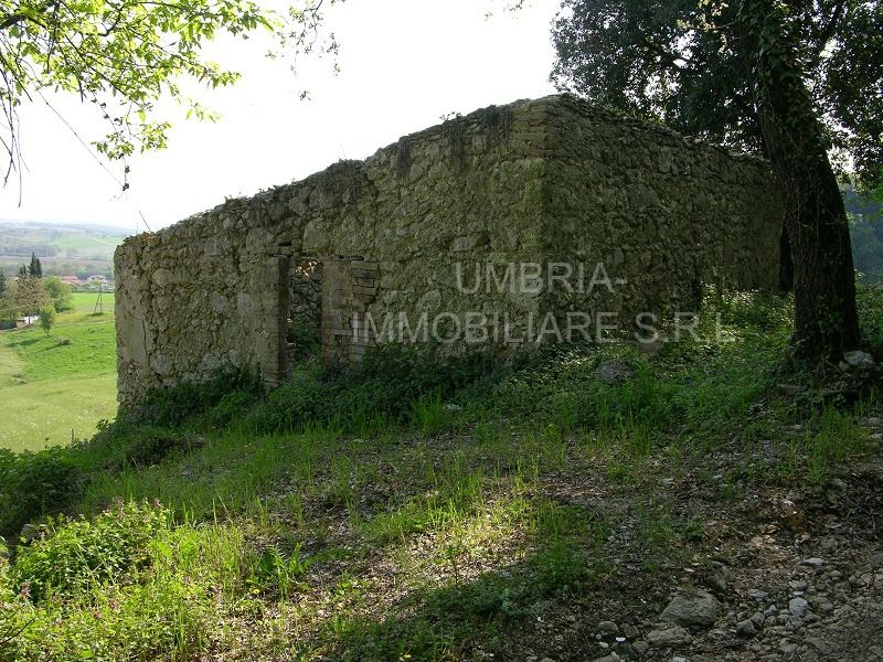 Vendita Terreno edificabile Amelia