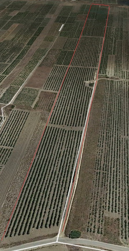 Azienda Agricola Mazara del Vallo 