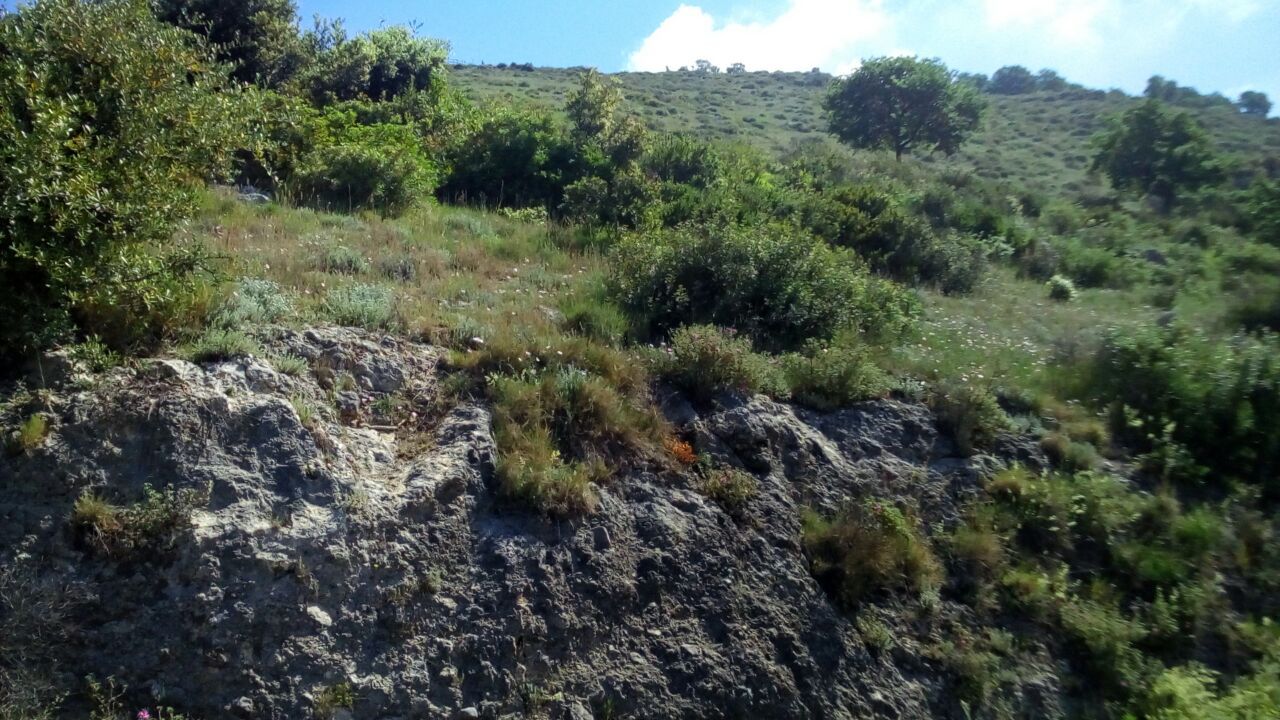 Terreno Agricolo Salerno 