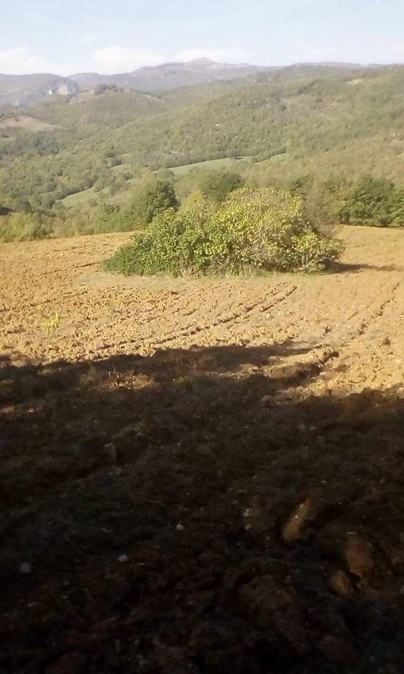 Terreno Agricolo Semproniano 