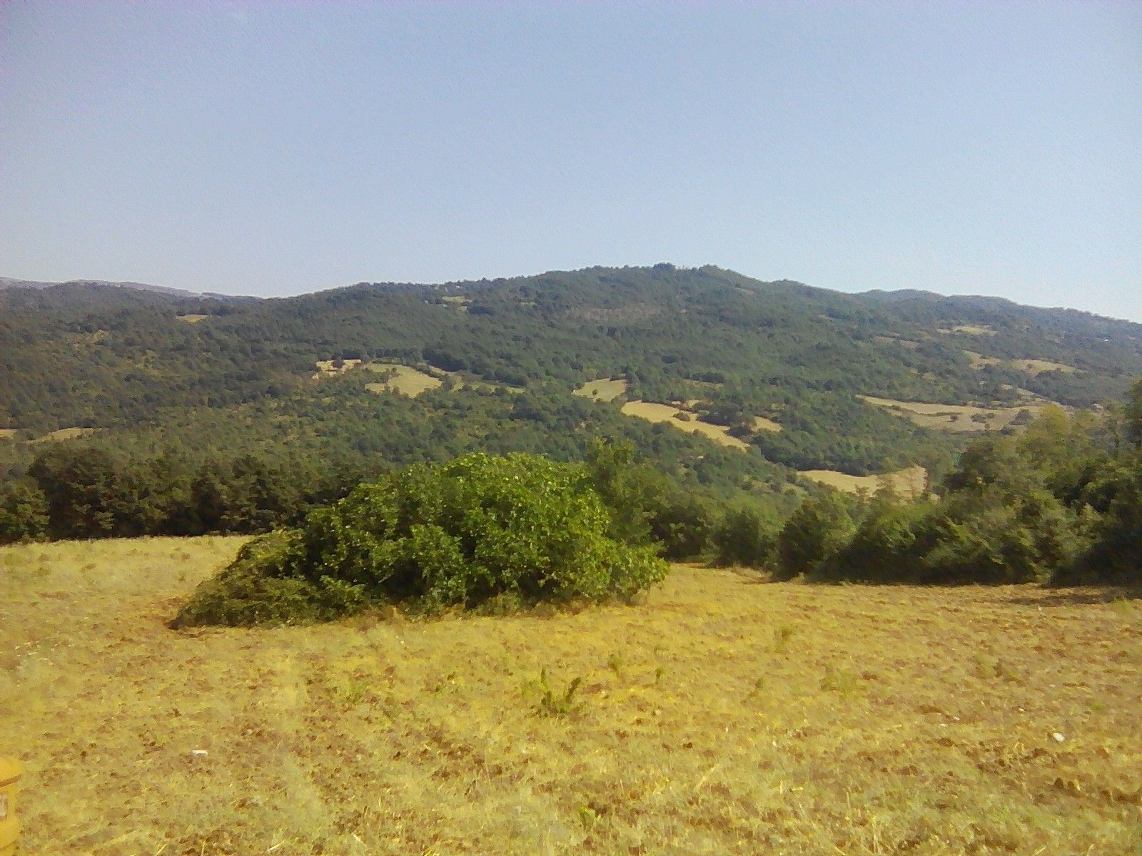 Terreno Agricolo Semproniano 