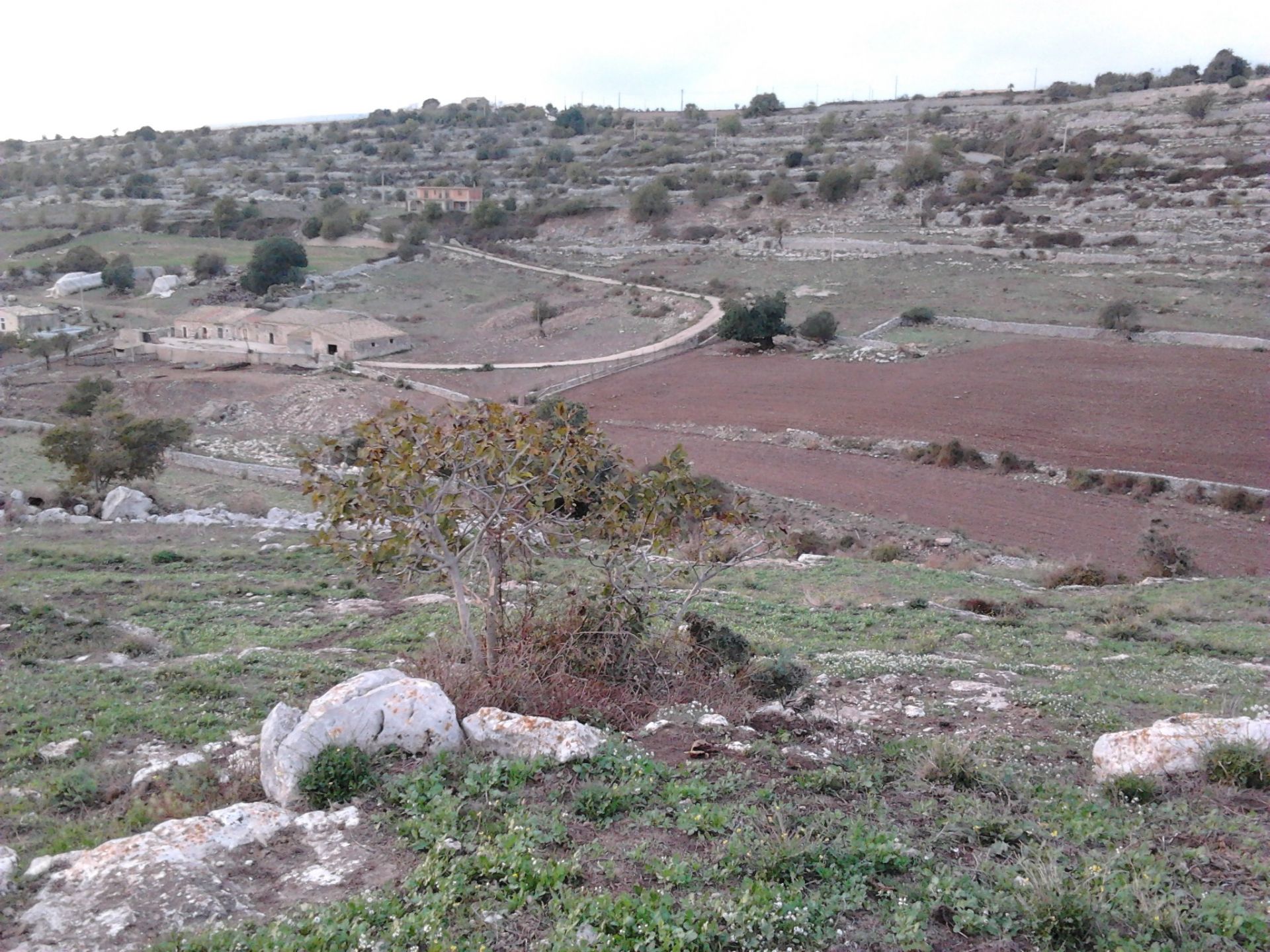 Terreno Agricolo Ragusa 