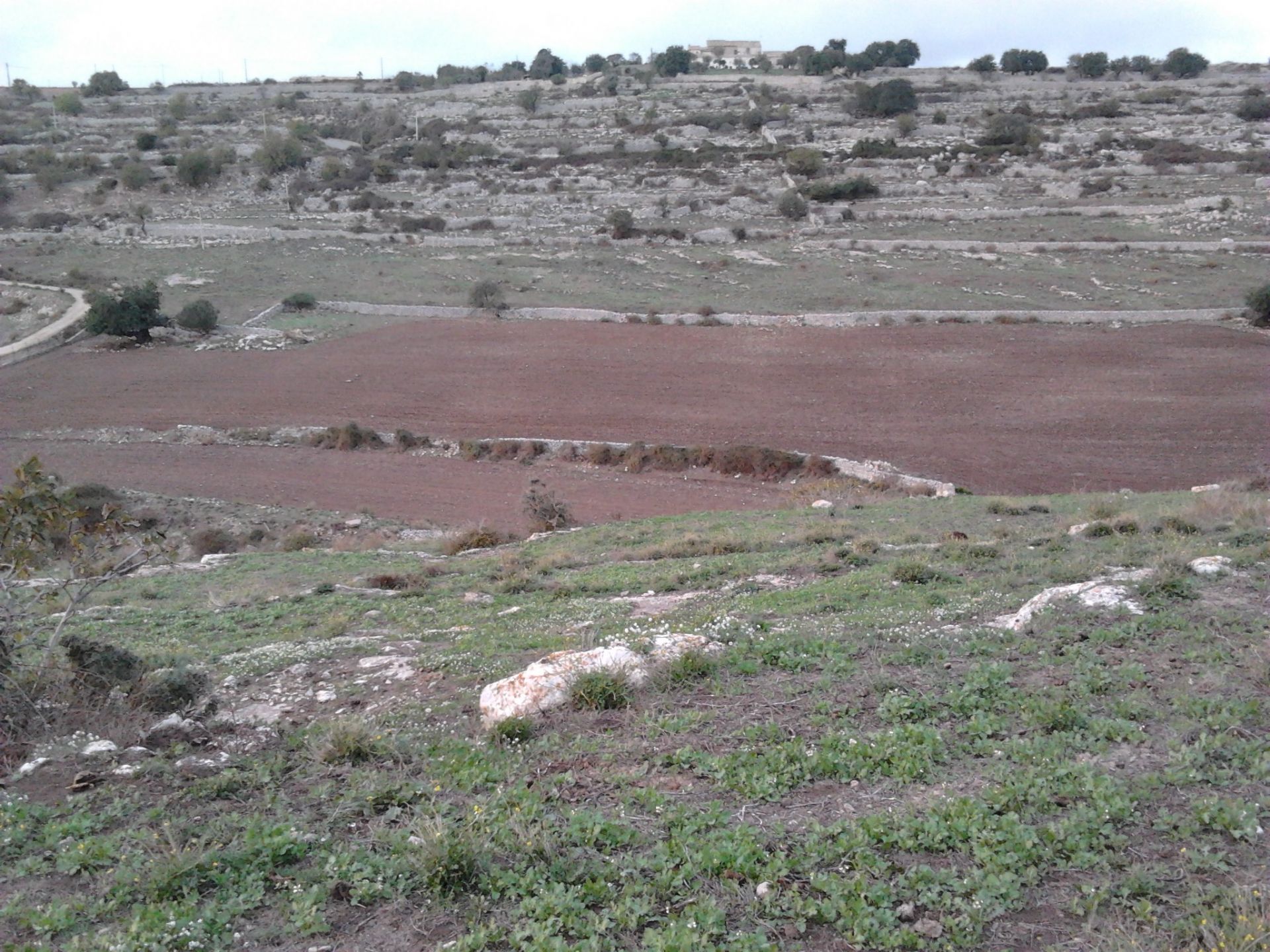 Terreno Agricolo Ragusa 