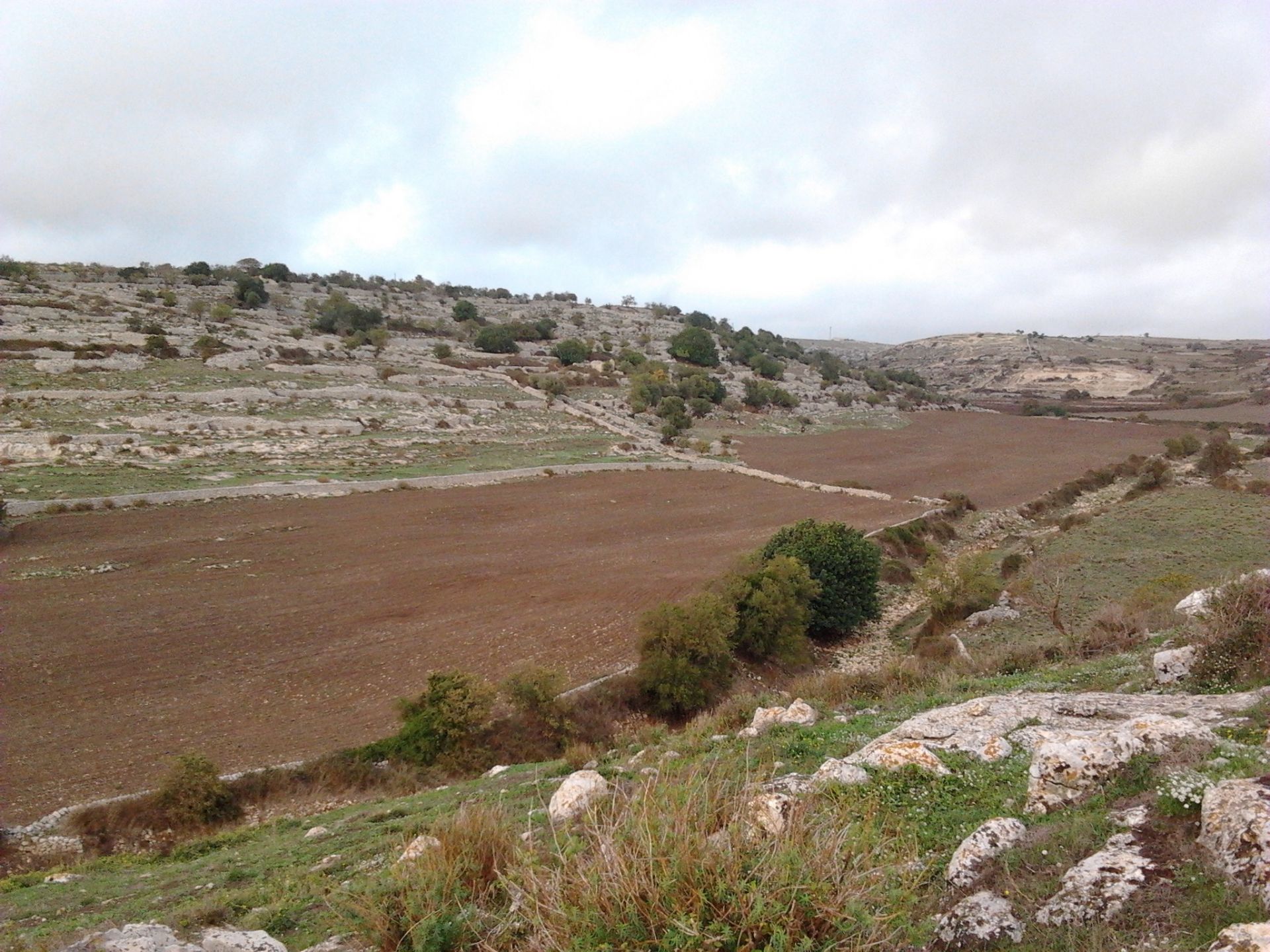 Terreno Agricolo Ragusa 