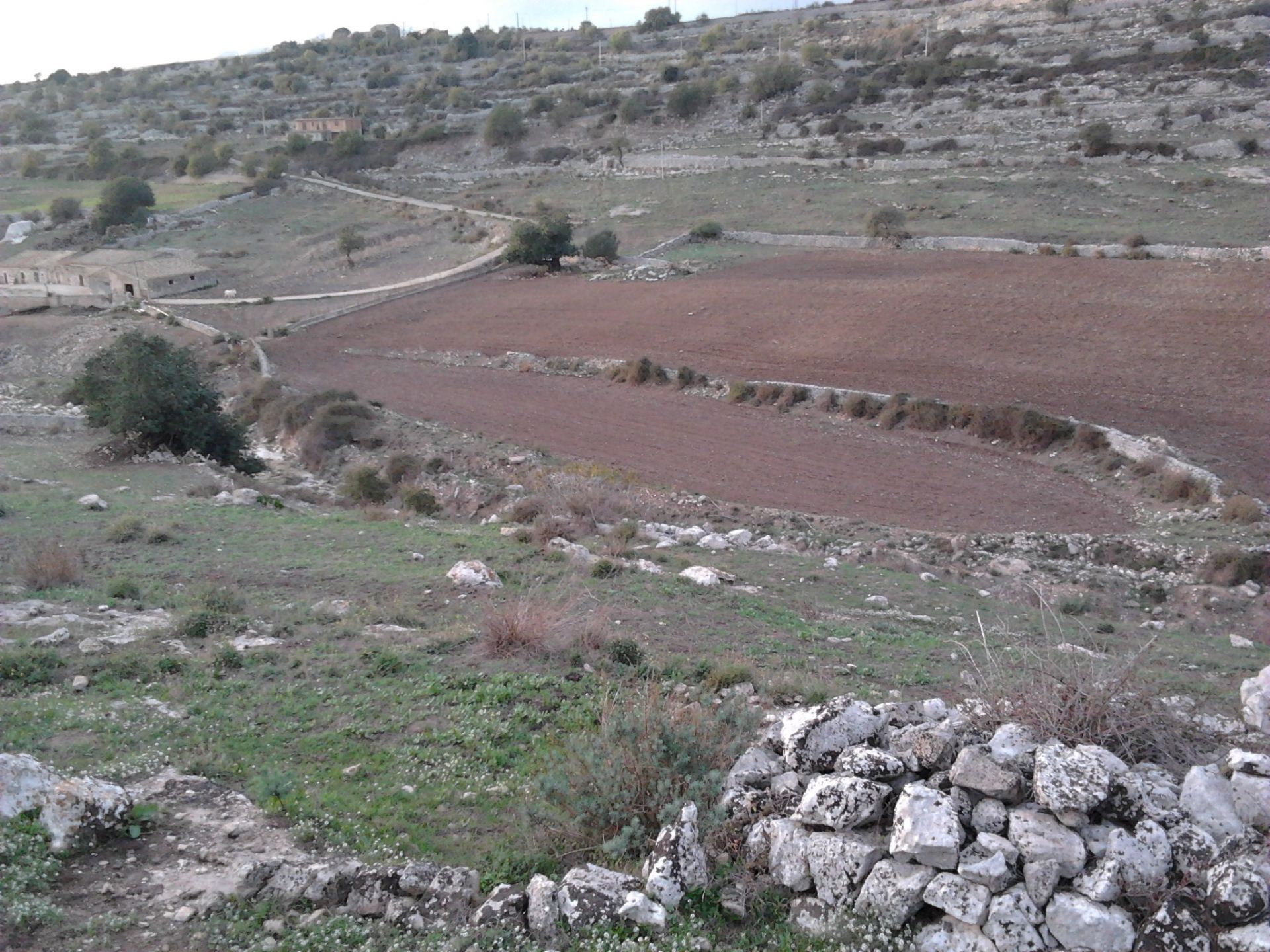 Terreno Agricolo Ragusa 