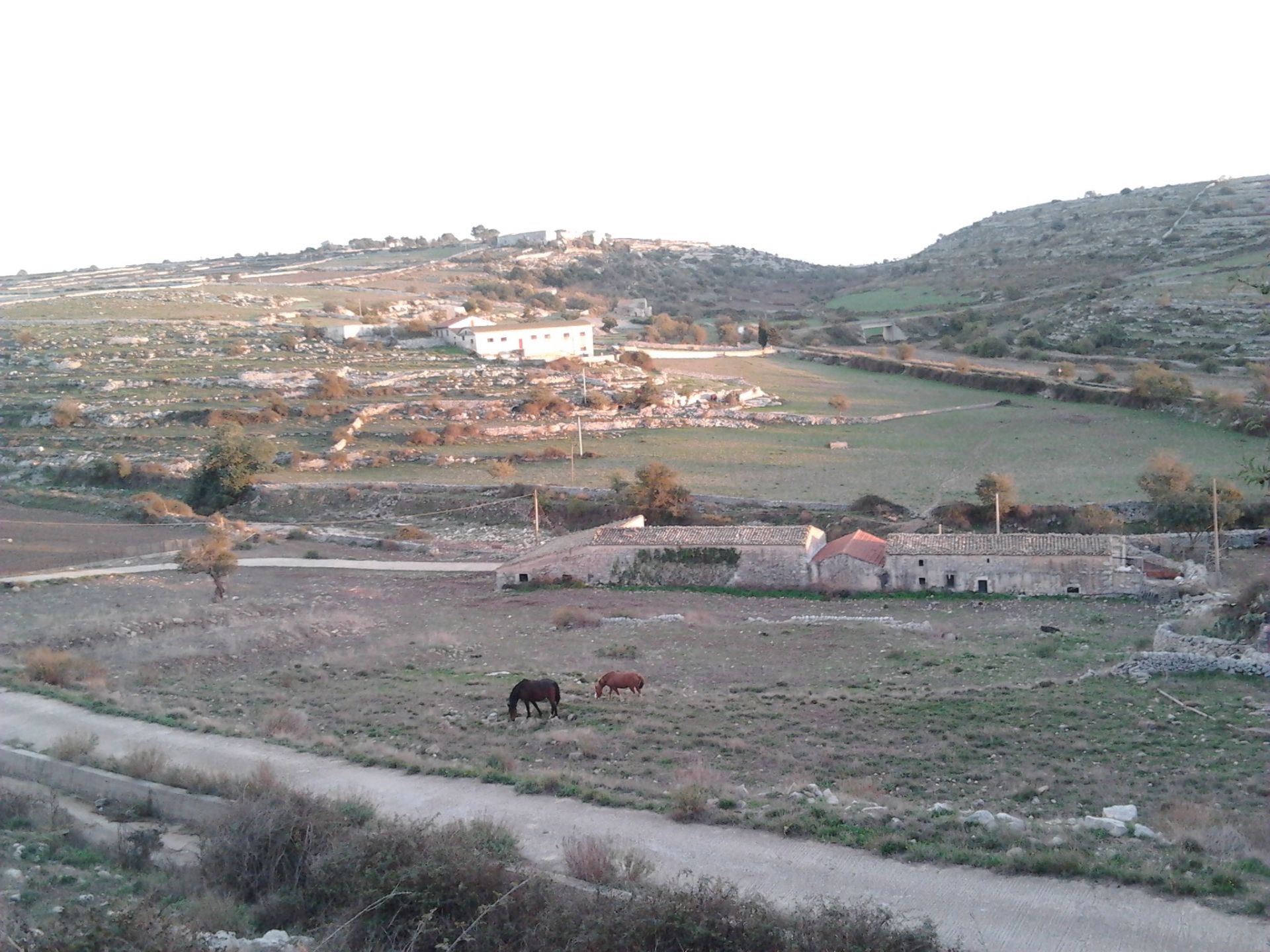 Terreno Agricolo Ragusa 