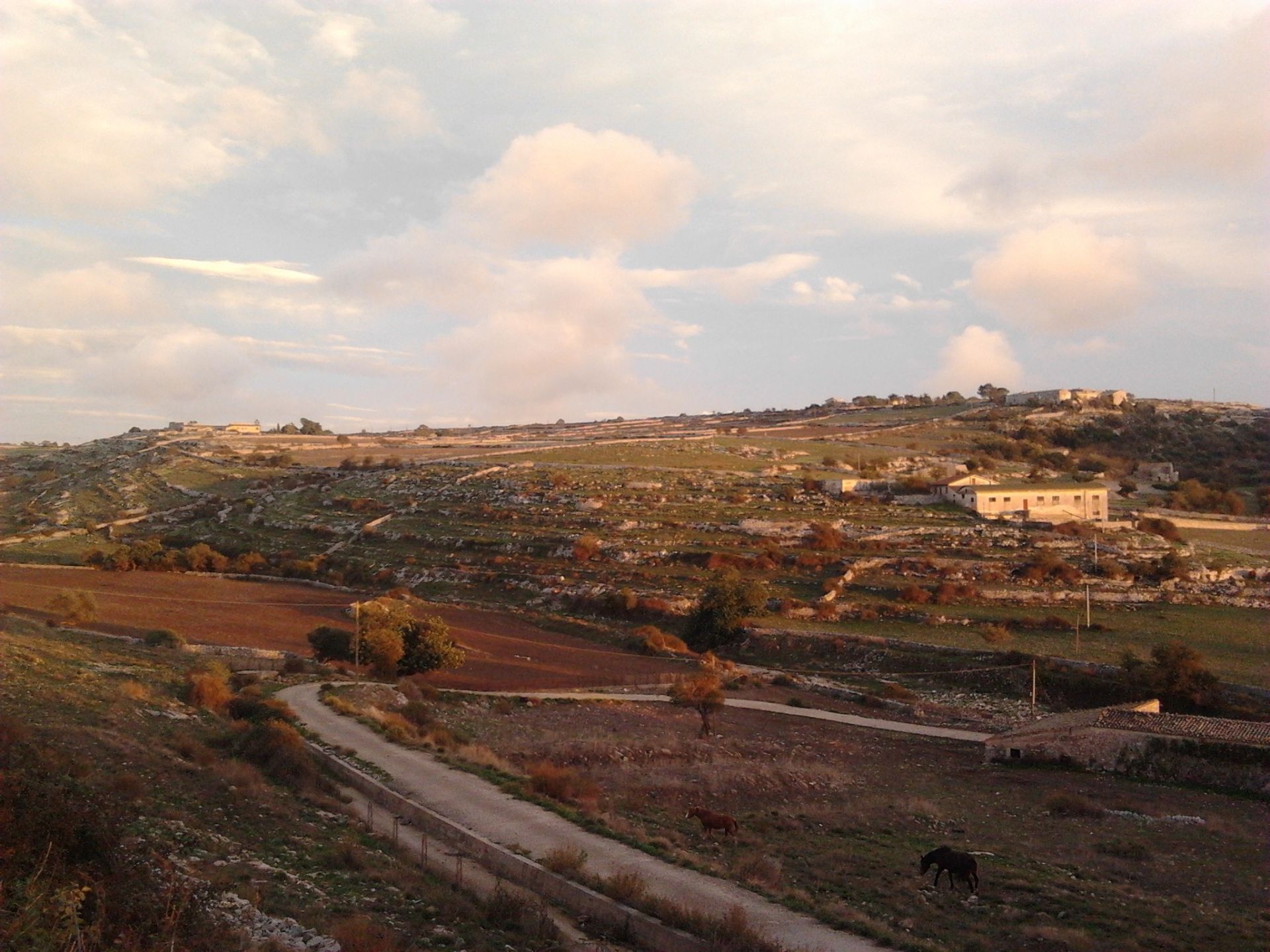 Terreno Agricolo Ragusa 