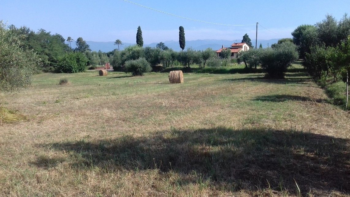 Terreno Agricolo Fucecchio 