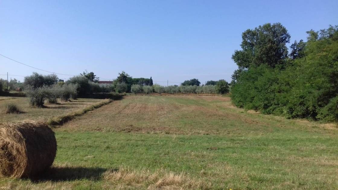 Terreno Agricolo Fucecchio 