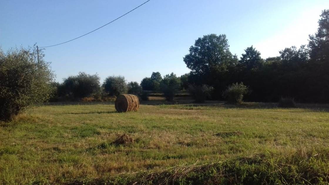 Terreno Agricolo Fucecchio 