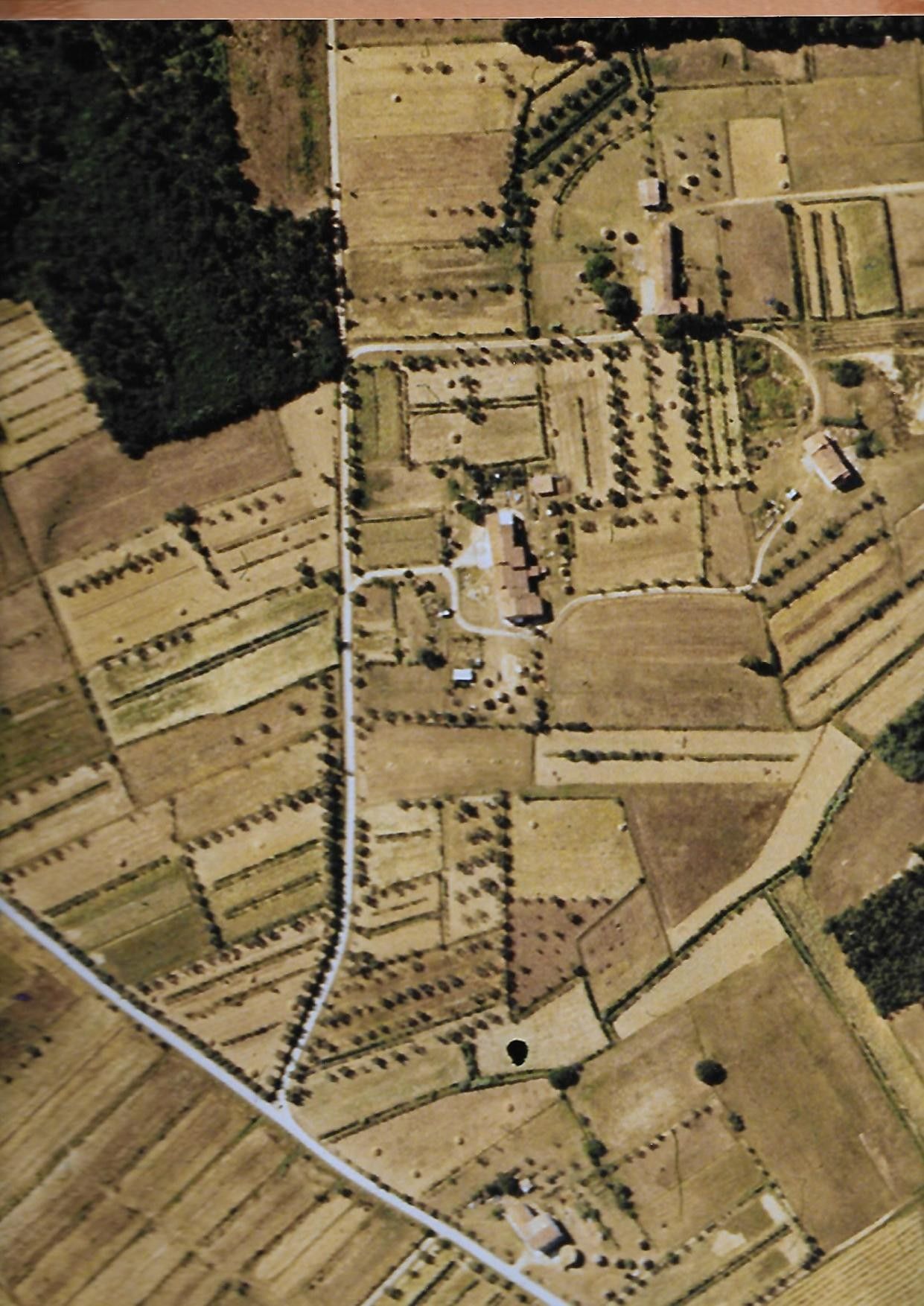 Terreno Agricolo Fucecchio 