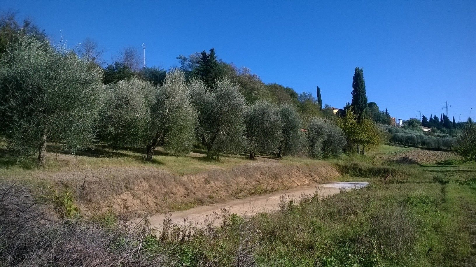 Terreno Agricolo Capannoli 