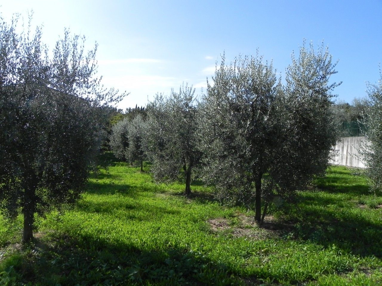 Vendita Terreno edificabile Puegnago sul Garda