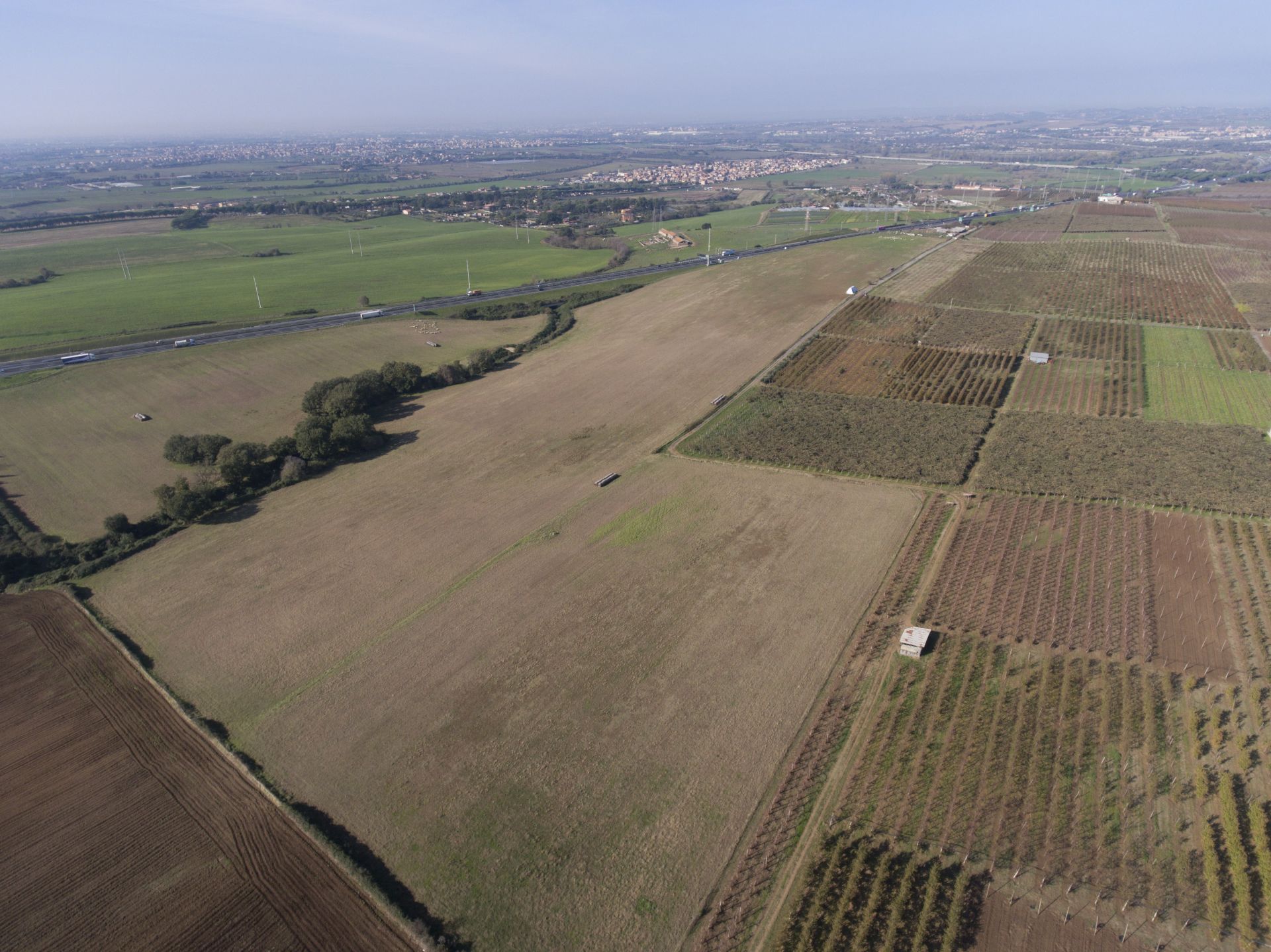 Terreno Agricolo  