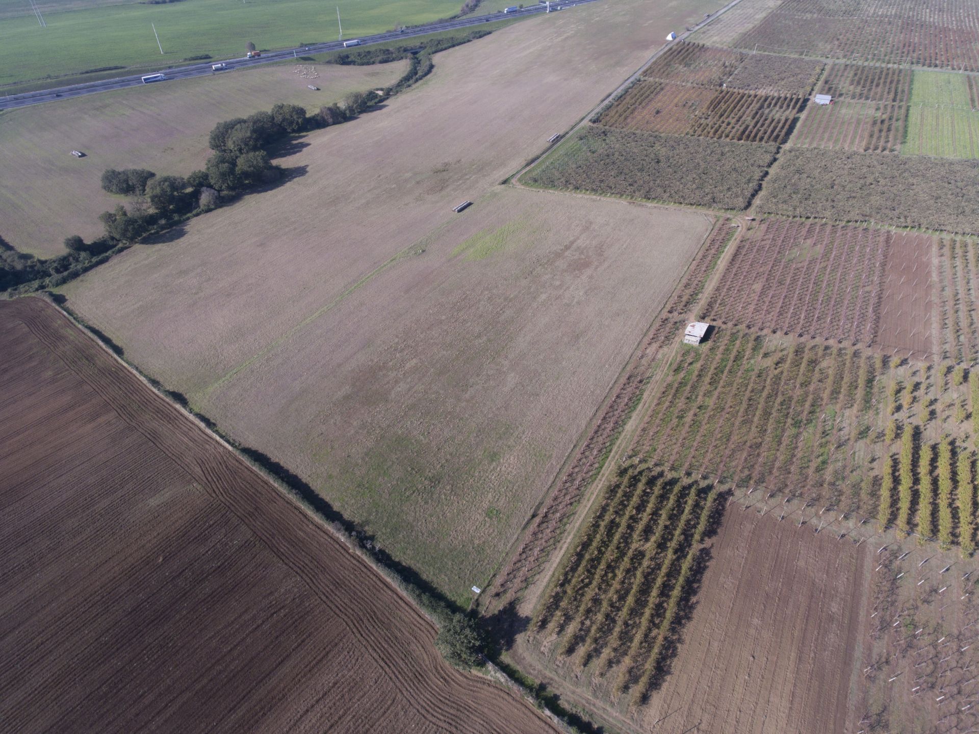 Terreno Agricolo  