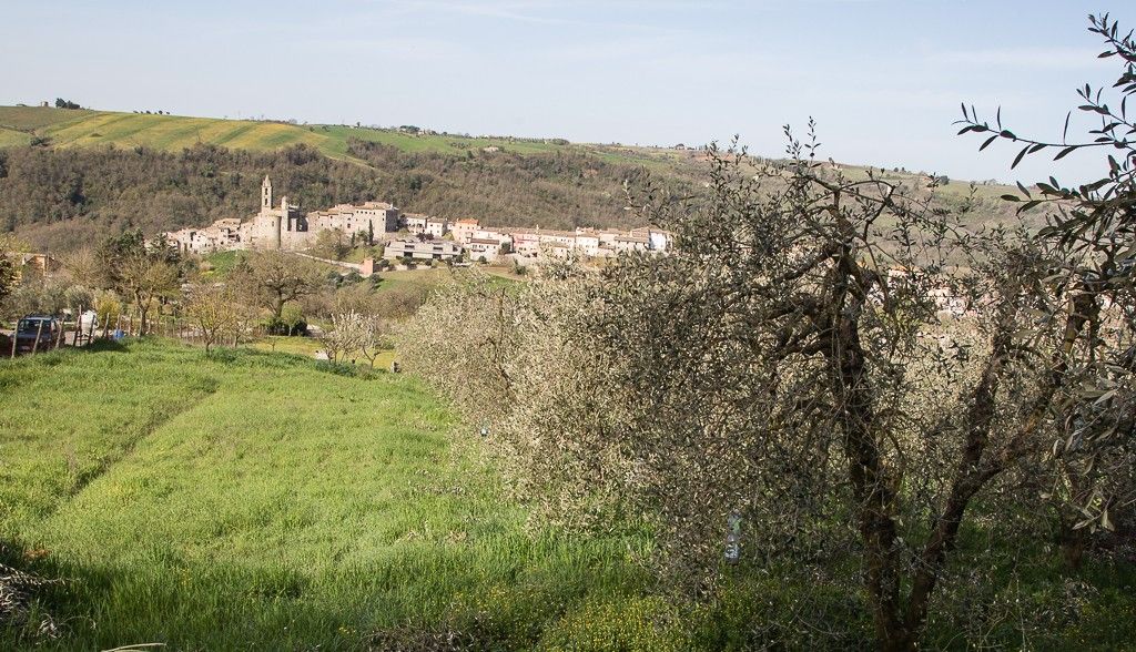 Vendita Terreno edificabile Baschi