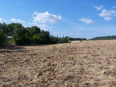 Terreno Agricolo Capalbio 