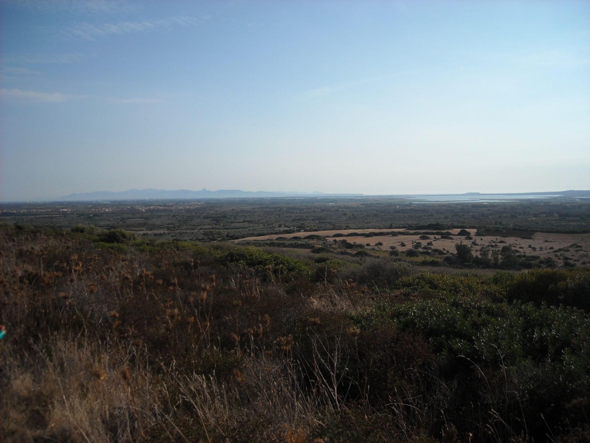 Vendita Terreno Agricolo Narbolia